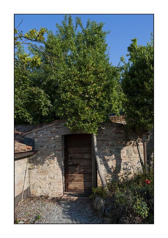 B&B Casale Virgili Siena Zewnętrze zdjęcie