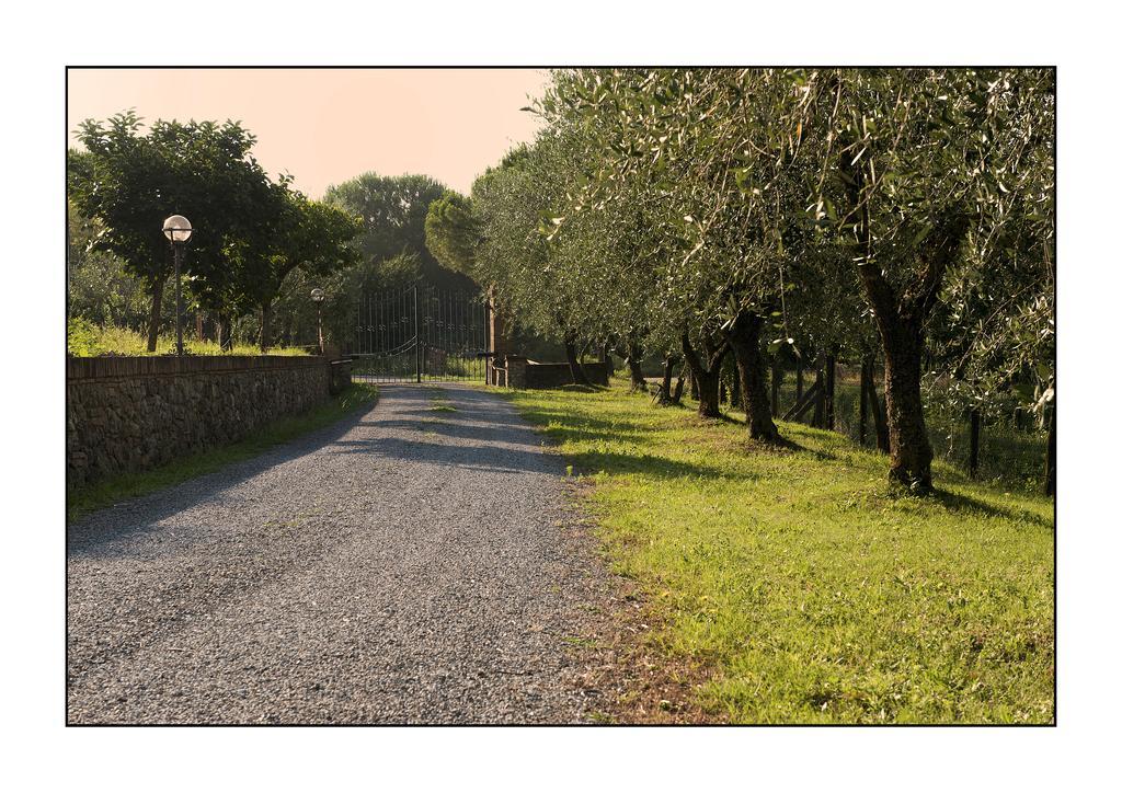 B&B Casale Virgili Siena Zewnętrze zdjęcie
